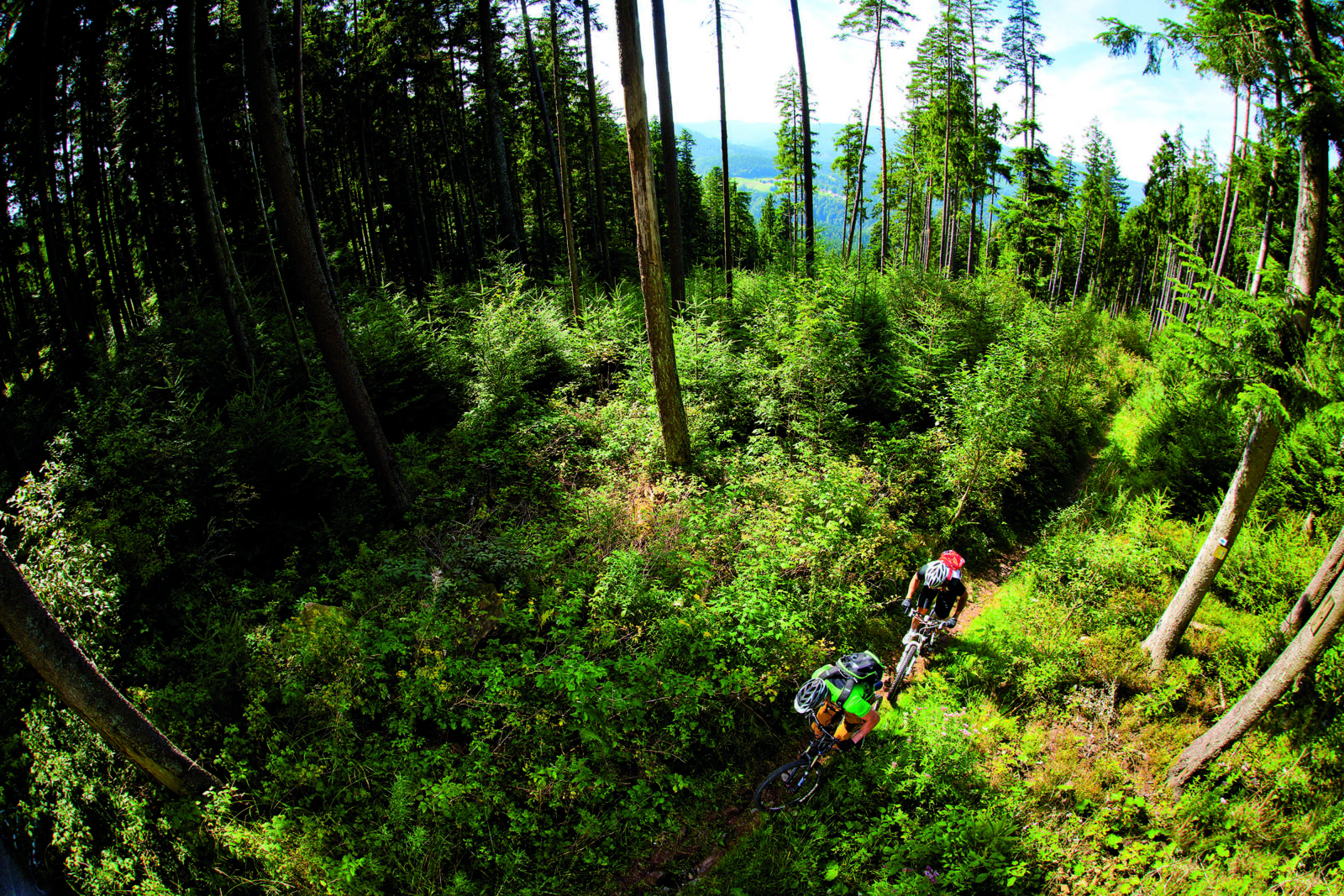 beitune BikeReisen MTB Schwarzwald