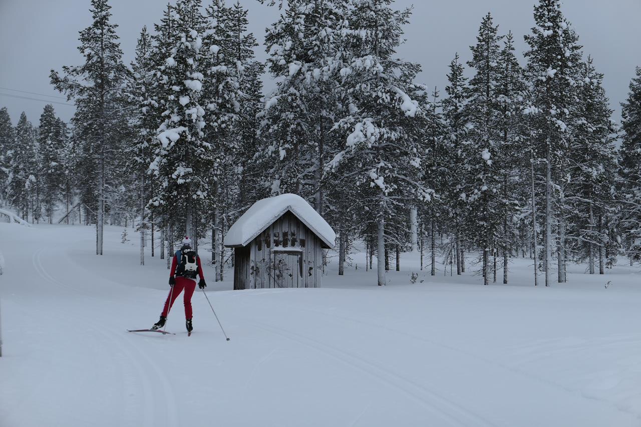 beitune Winterreise Lappland