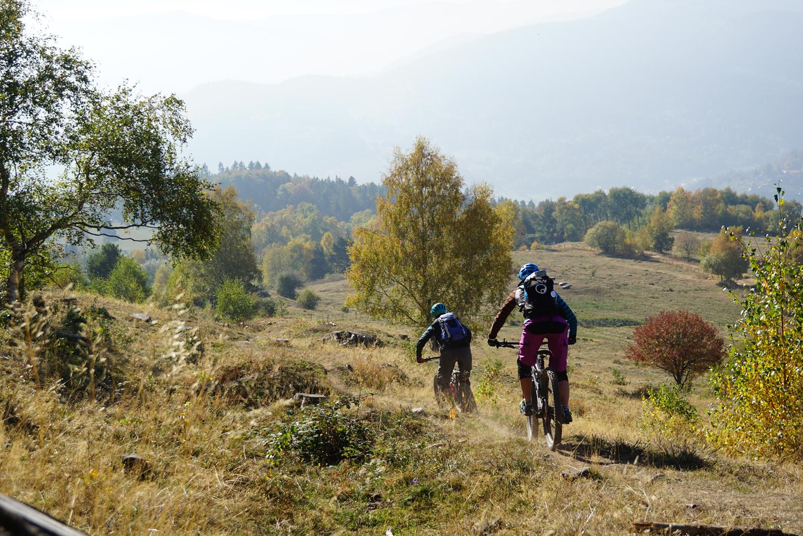Beim Trailcamp Vogesen sind wir auf zahlreichen Trails unterwegs.