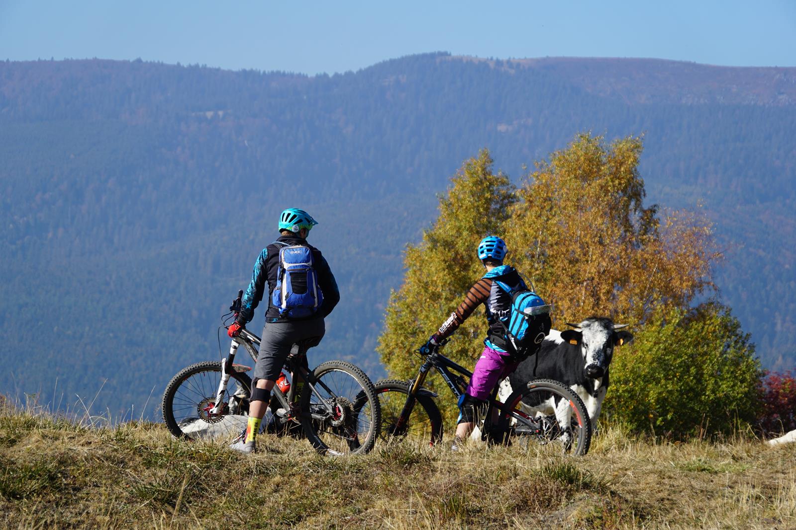 MTB-Camp für Frauen