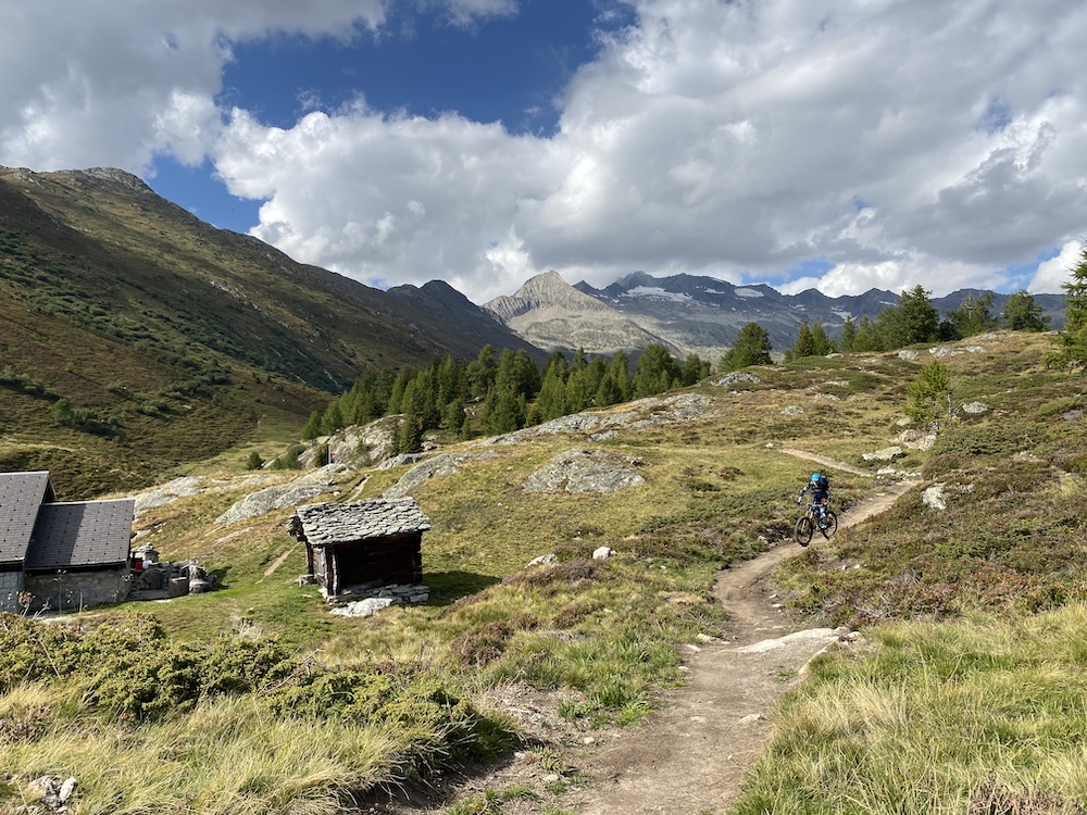 Mountainbiker auf Singletrail beim beitune Top of Wallis