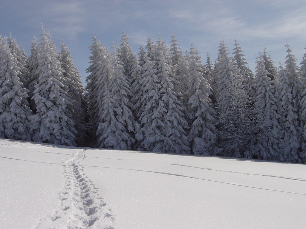 Winterstimmung bei der Schneeschuhwanderung in den Vogesen