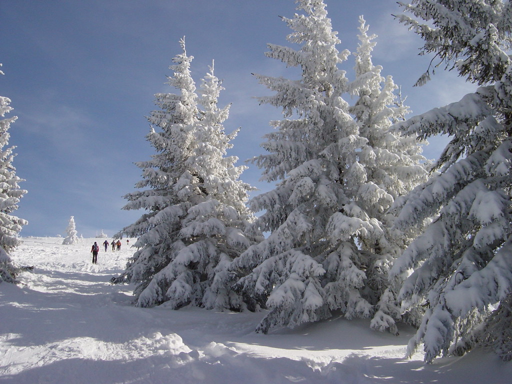Bei gutem Wetter können wir von der Schneeschuhwanderung in den Vogesen gar nicht genug bekommen