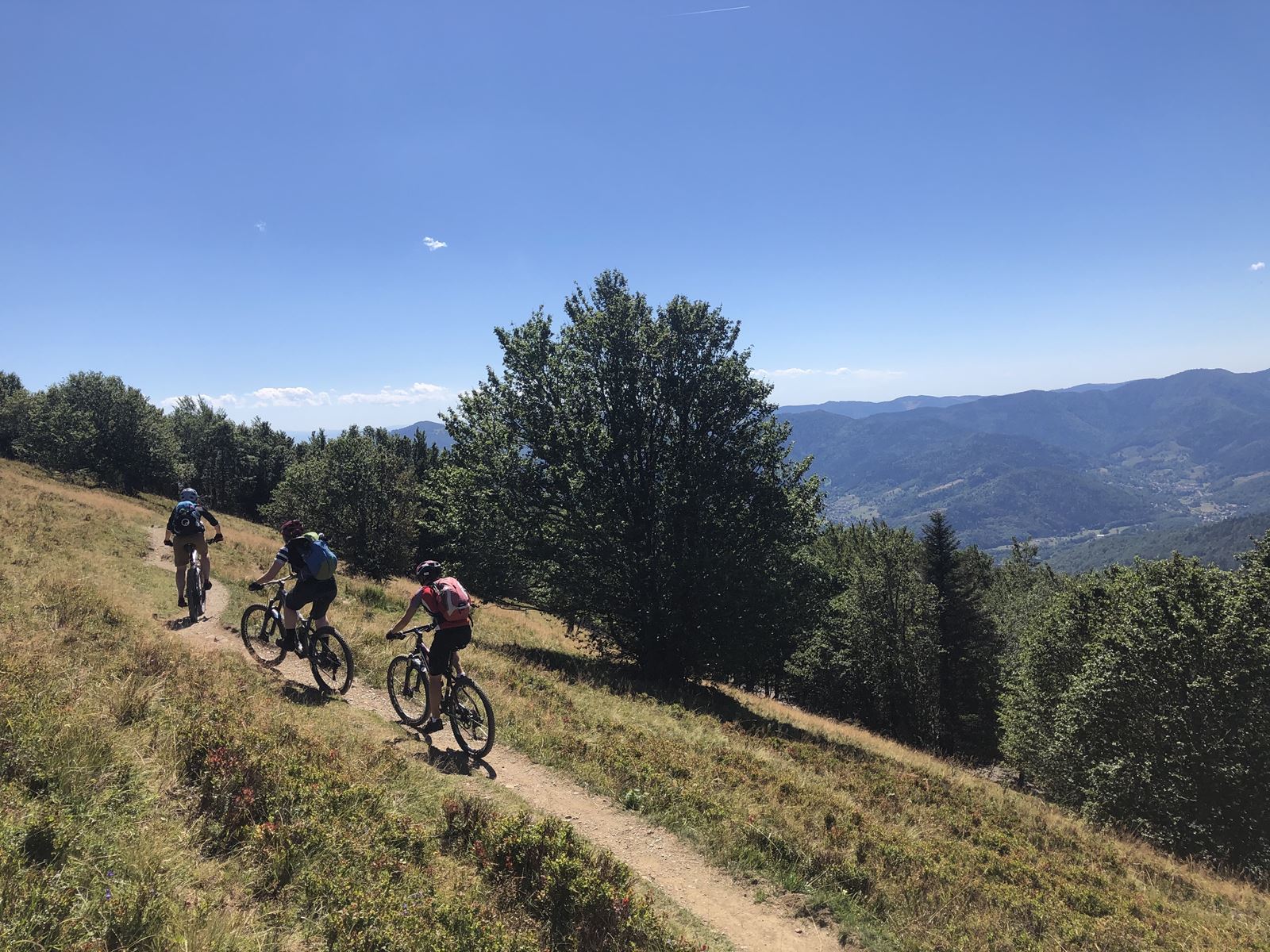 Auf zum Petit Ballon mit 1267 Metern Höhe - beitune Vogesen Cross MTB/E-MTB