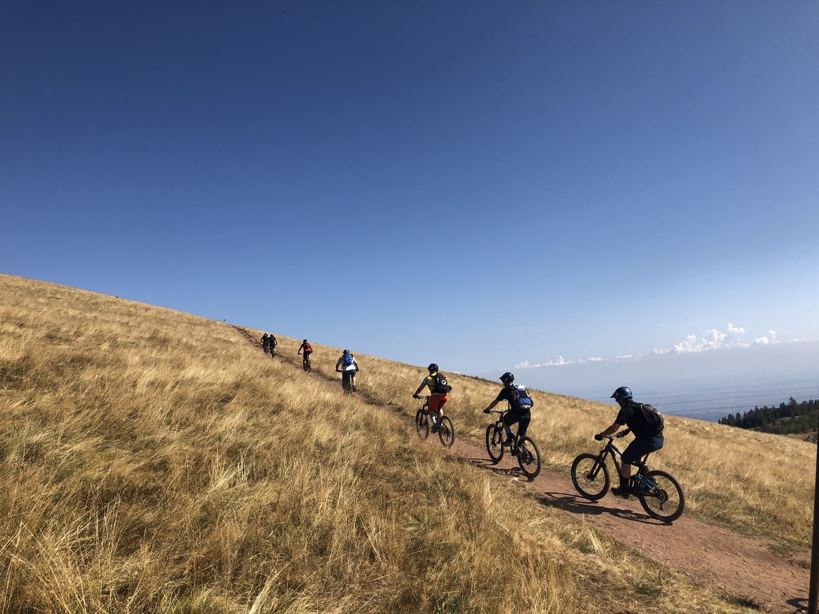 Von Metzeral auf den Petit Ballon - letzte Etappe auf dem beitune Vogesen Cross