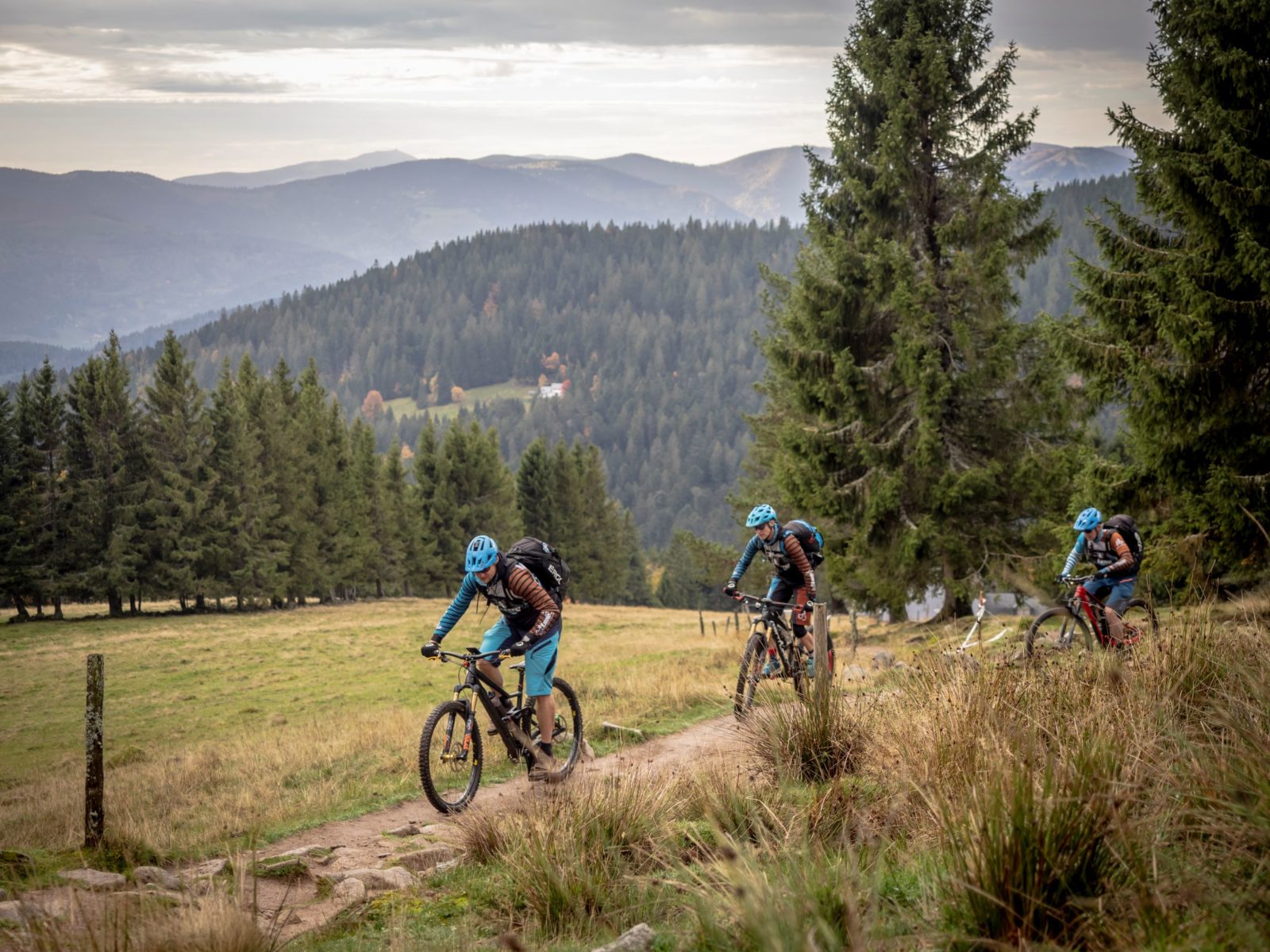 beitune Vogesen MTB