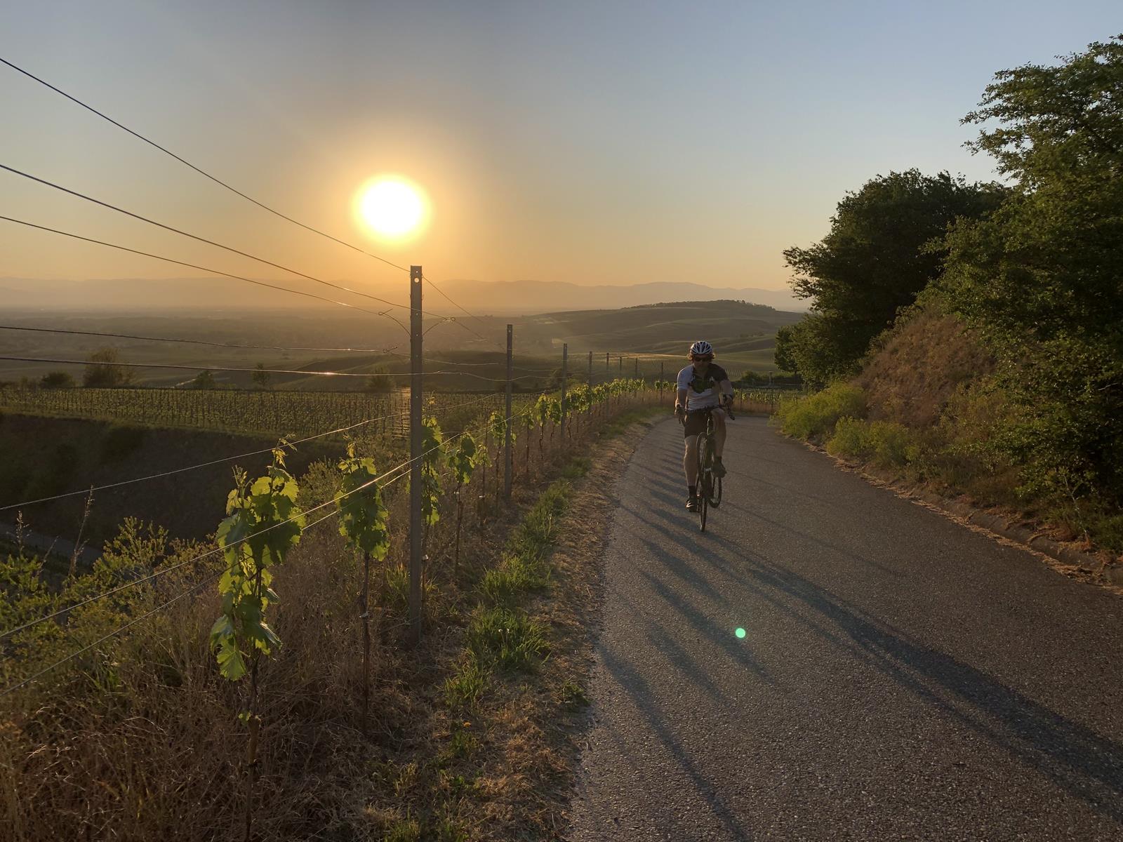 beitune-Rennrad-Kaiserstuhl