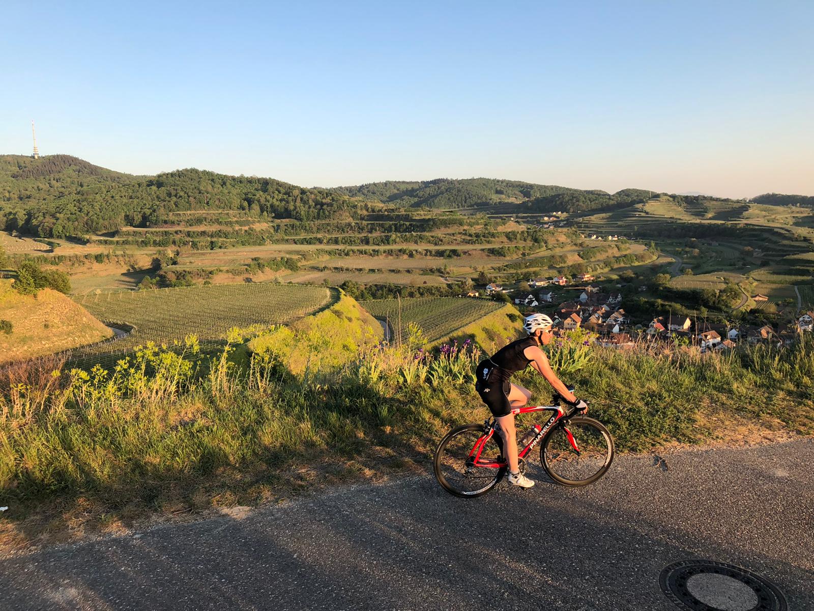 beitune-Rennrad-Kaiserstuhl