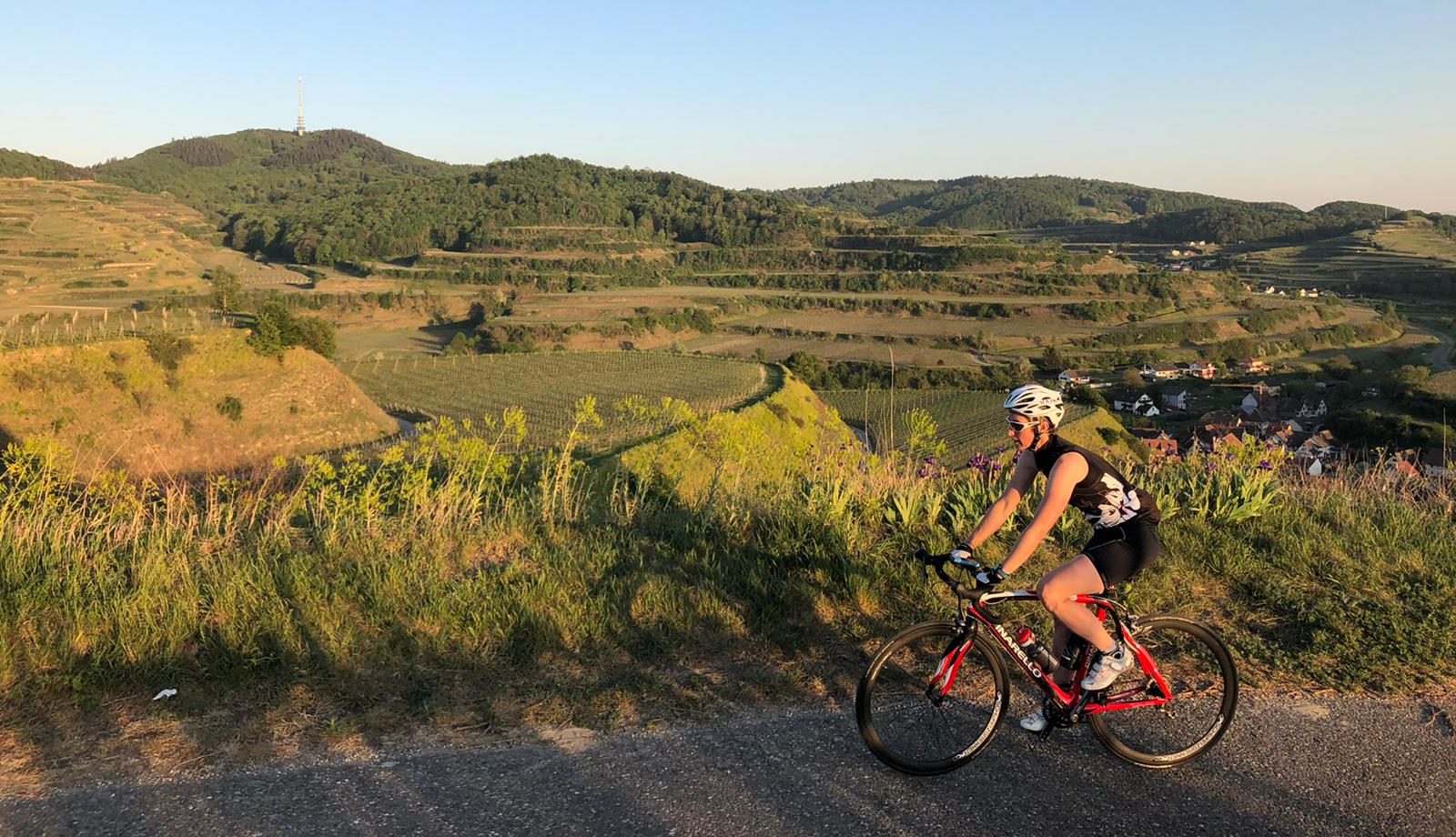 beitune-Rennrad-Kaiserstuhl
