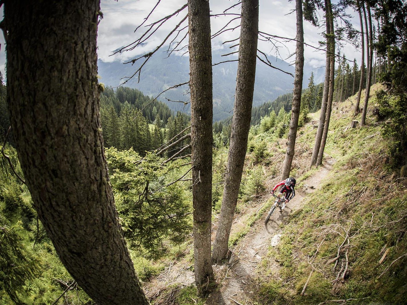 beitune-mtb-schwarzwald