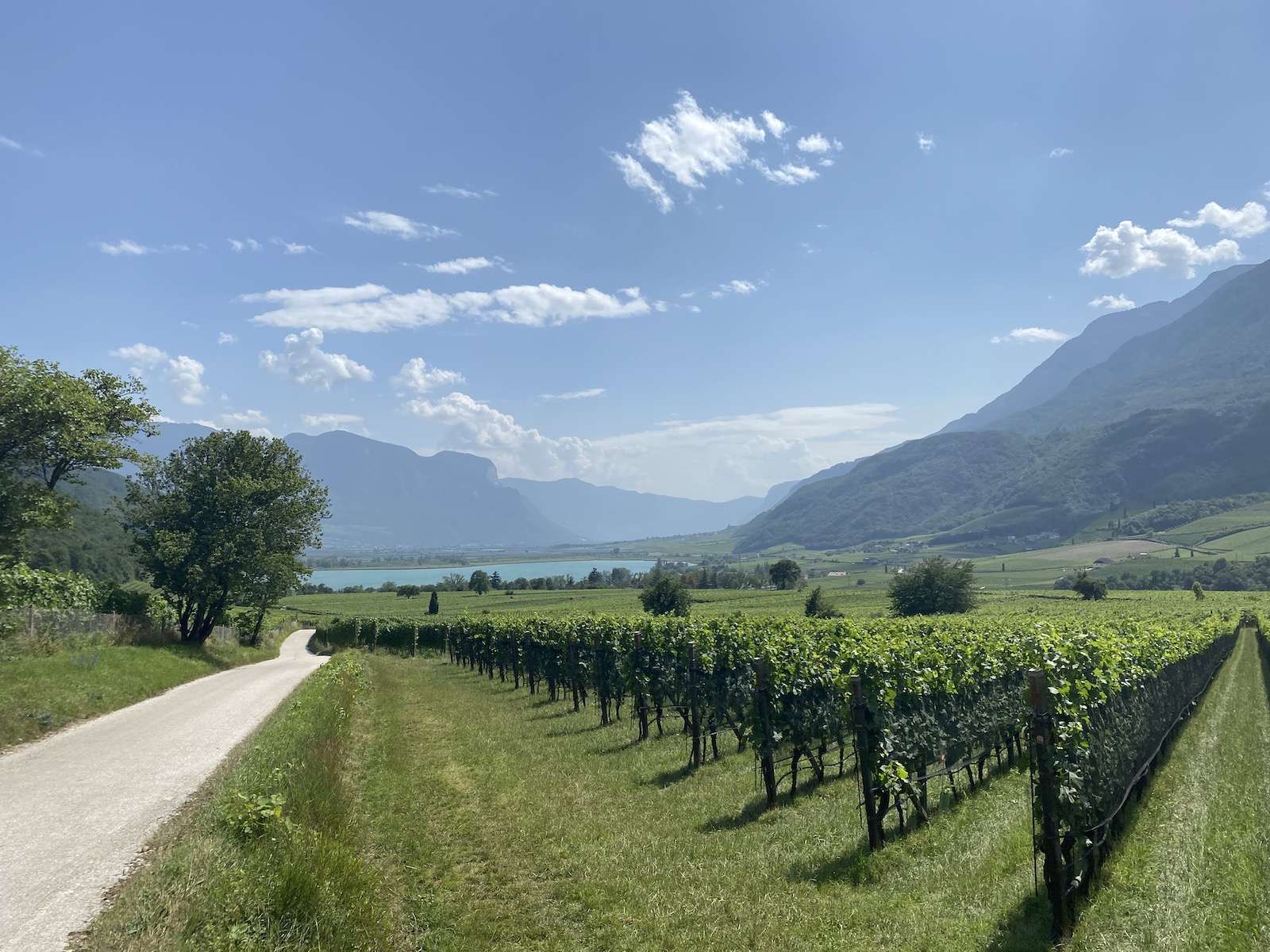 beitune Transalp Tegernsee-Gardasee: Blick auf den Kalterer See