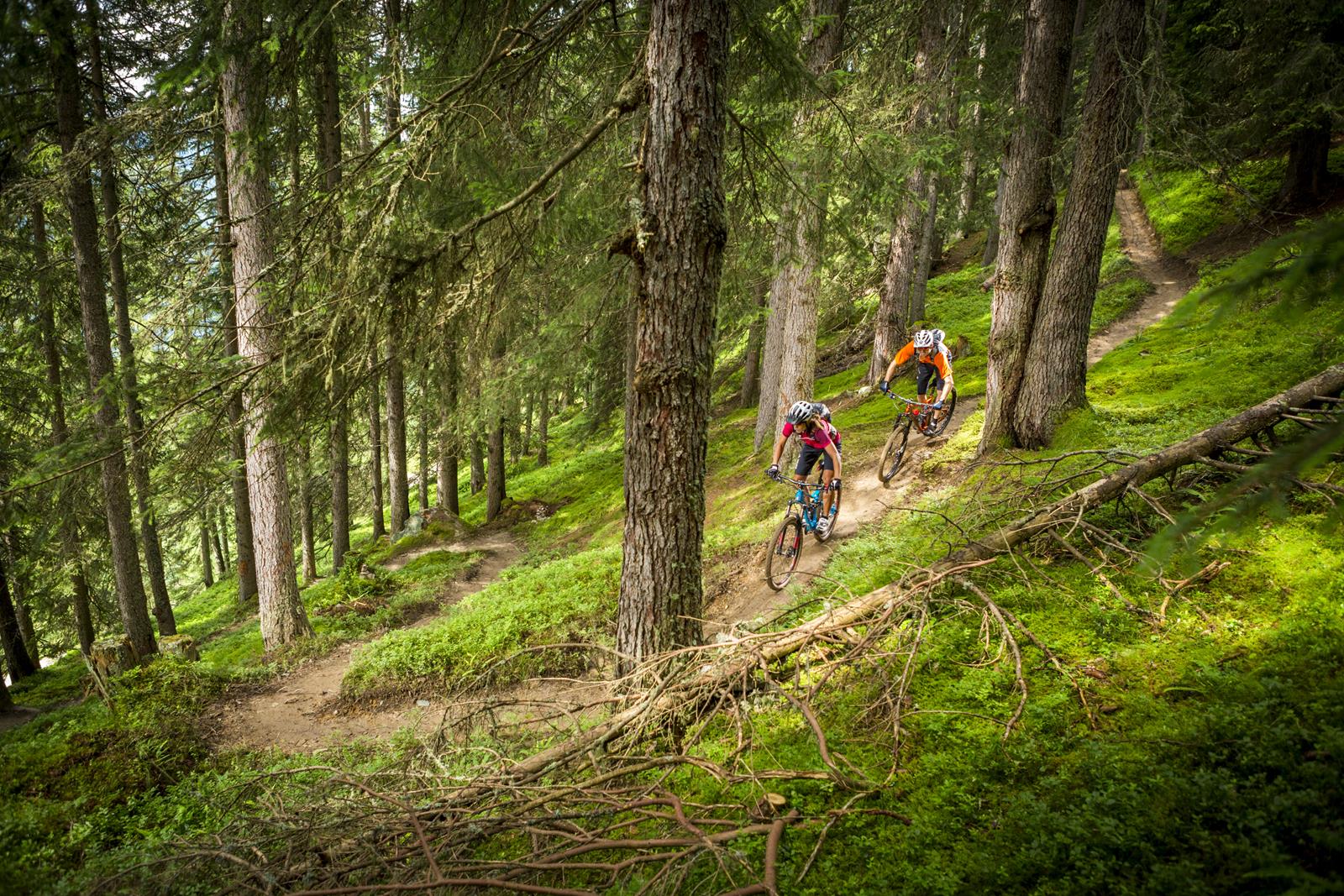 Bei den beitune MTB-Touren im Schwarzwald sind wir zwei Tage lang auf den schönsten Singletrails im Schwarzwald unterwegs