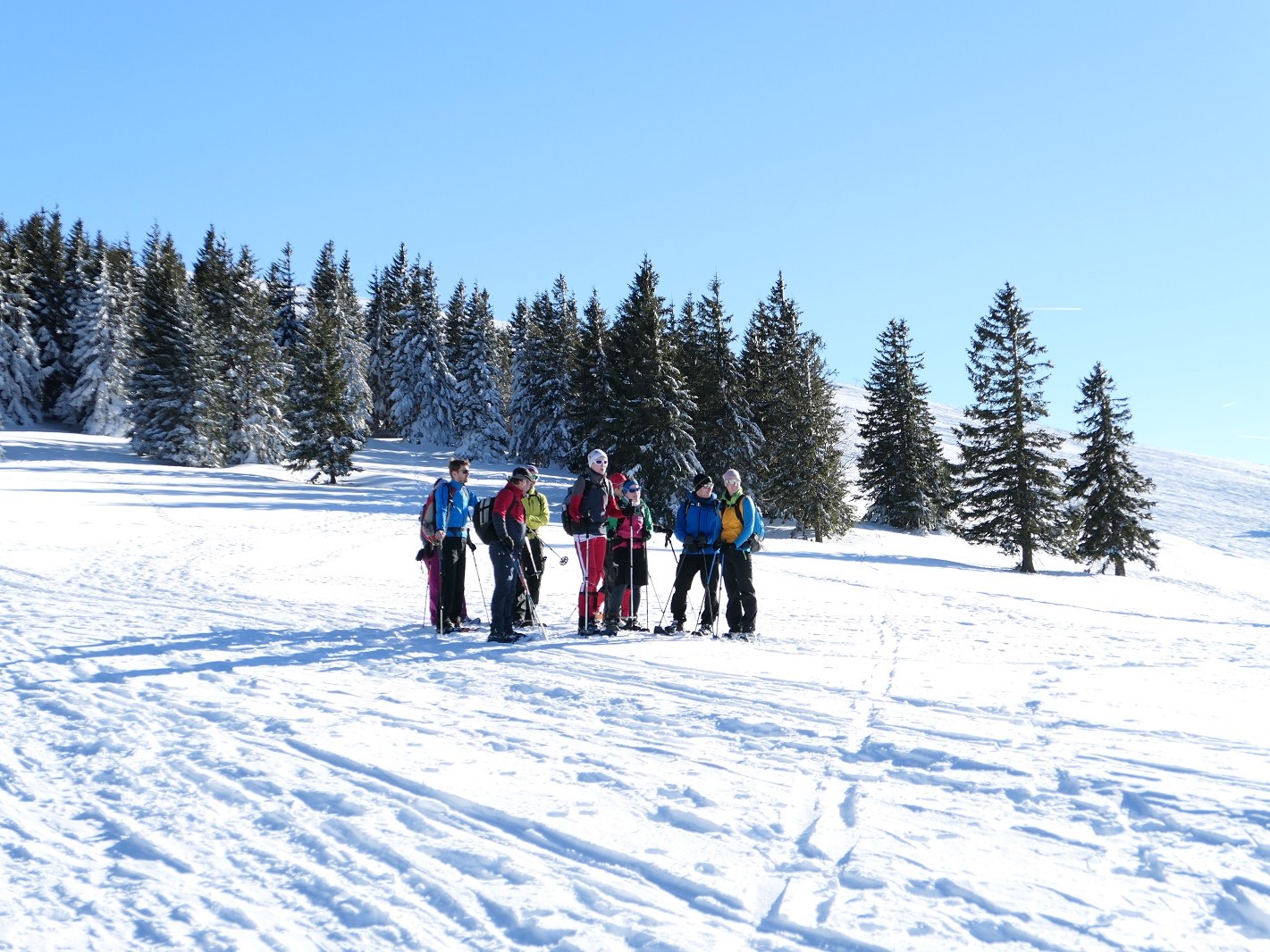 Erlebe eine unvergleichliche Winterlandschaft bei der Schneeschuhwanderung in den Vogesen