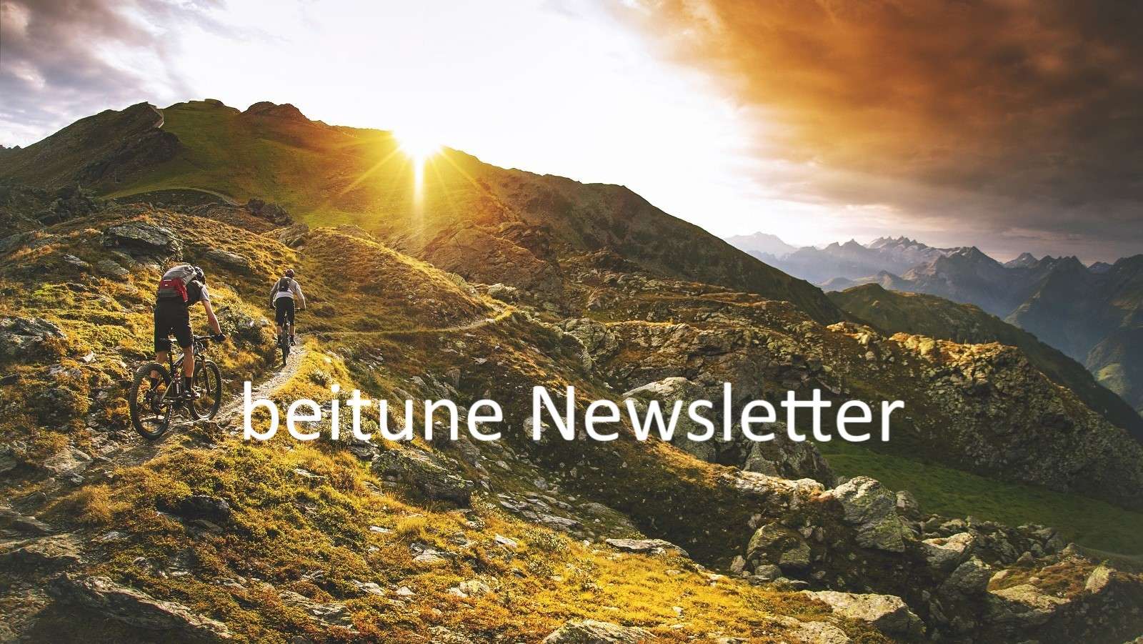 Der beitune Newsletter erscheint regelmäßig per Mail.