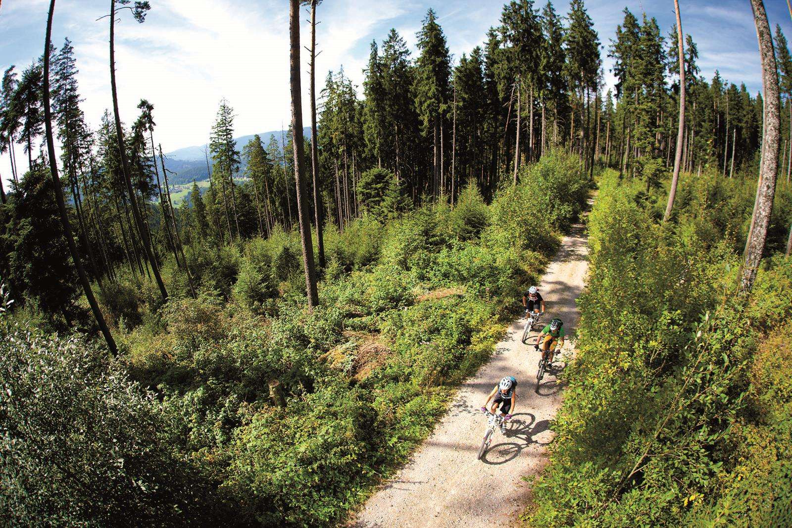Bei der Trans-Schwarzwald geht es einmal längs von Nord nach Süd.