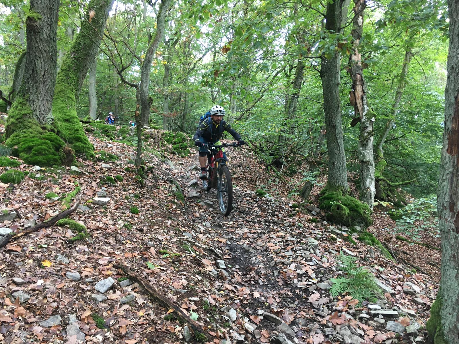 Egal ob MTB oder E-MTB, beim Traimcamp im Taunus kommen alle Biker auf ihre Kosten.