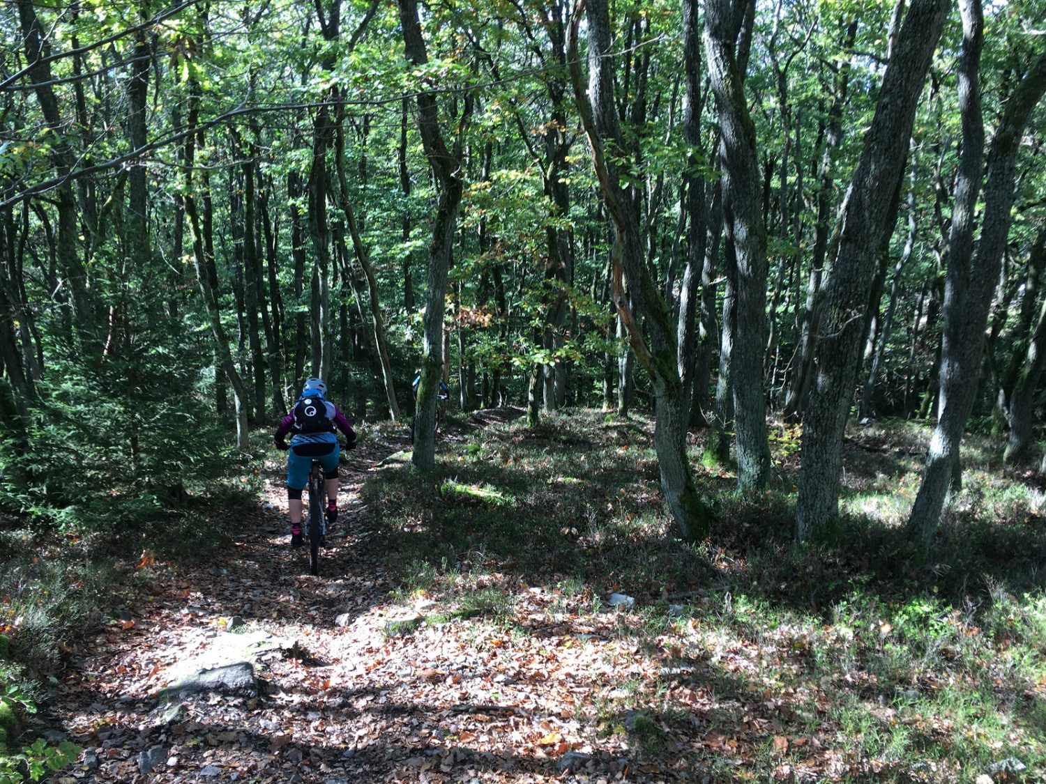 Mit viel Flow durch das raschelnde Laub beim Traimcamp im Taunus