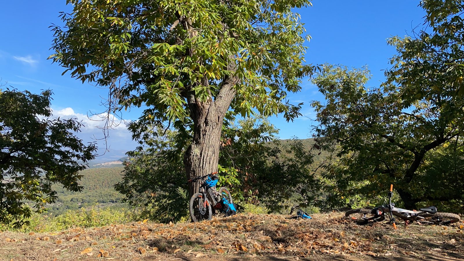 Auf unvergesslichen E-MTB Trailsichenwald