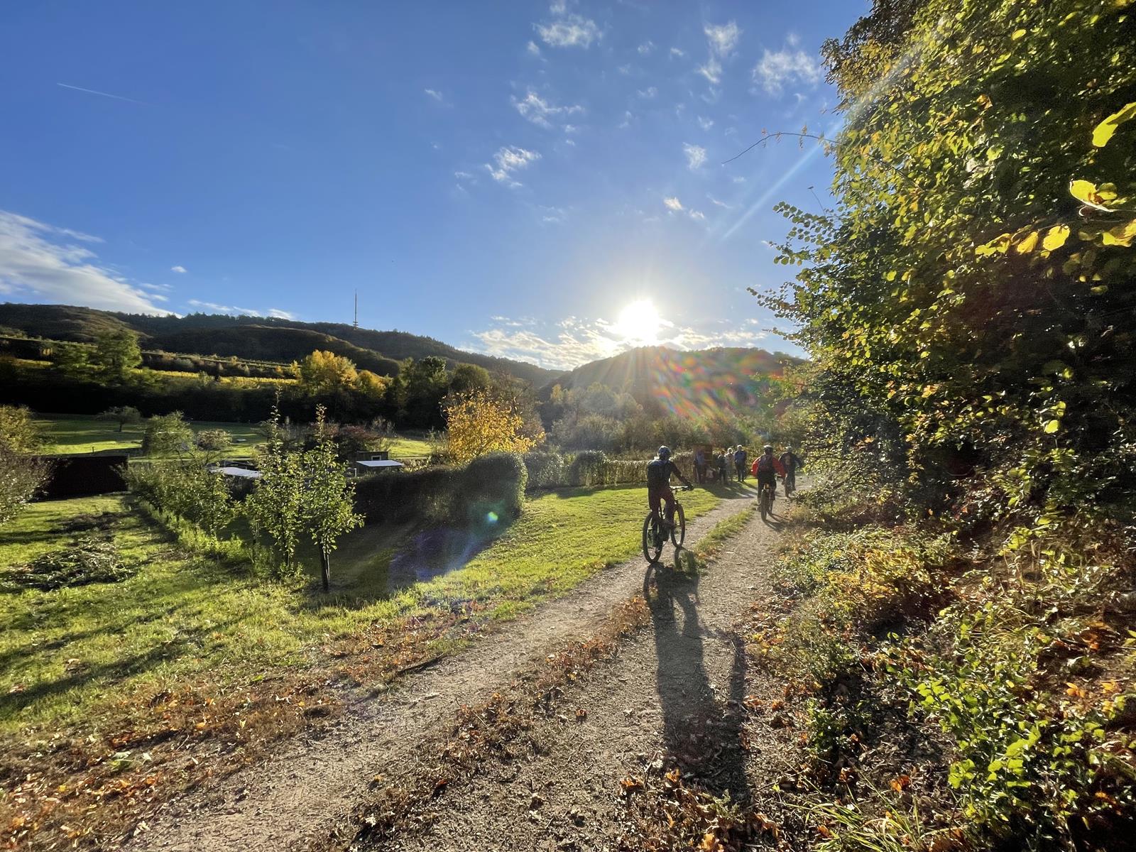 beitune Touren-Wochenende mit dem MTB/E-MTB im Kaiserstuhl mit einer Mountainbike-Gruppe