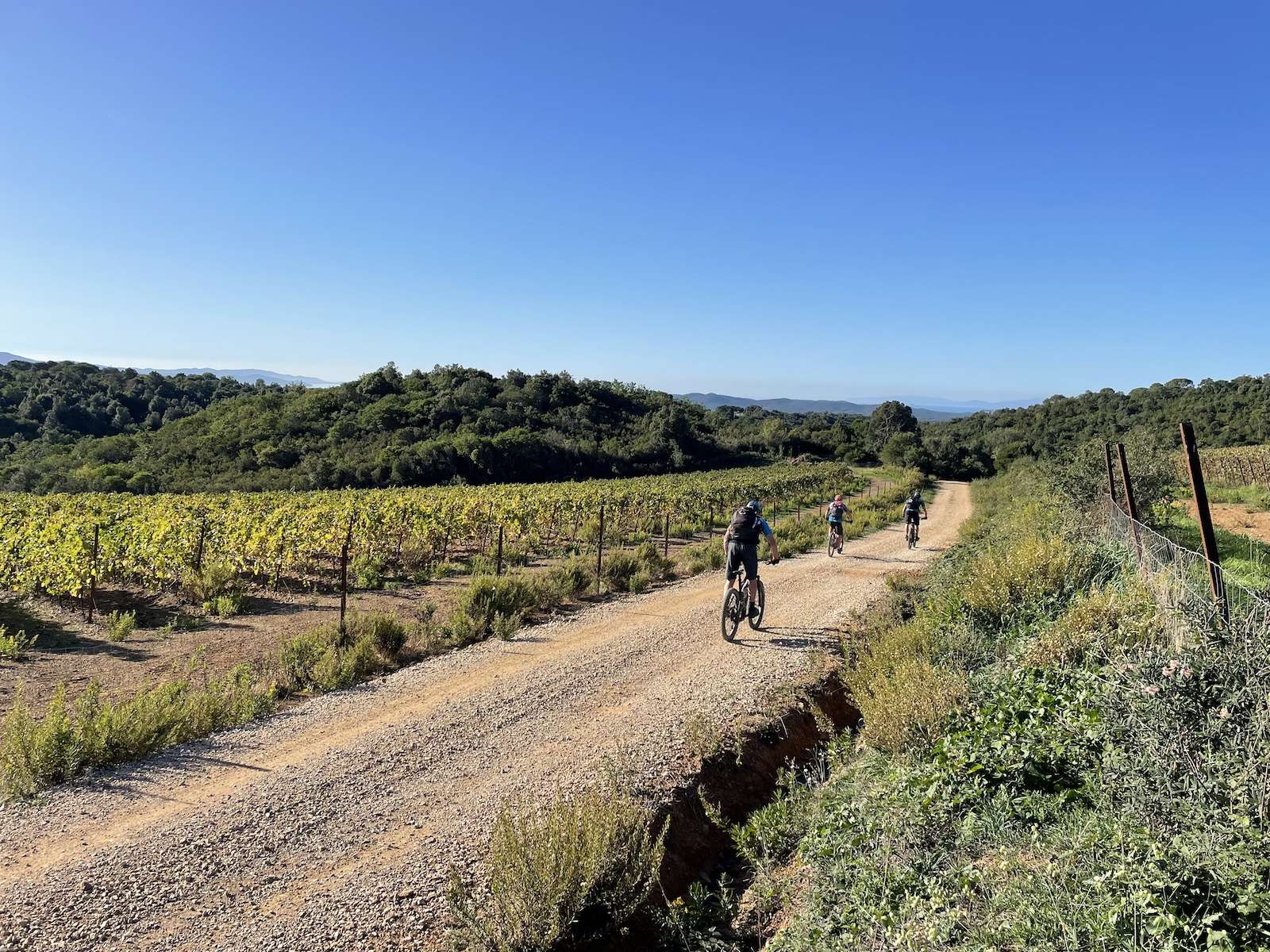 Mountainbiker beim beitune E-MTB-Trailcamp Toskana
