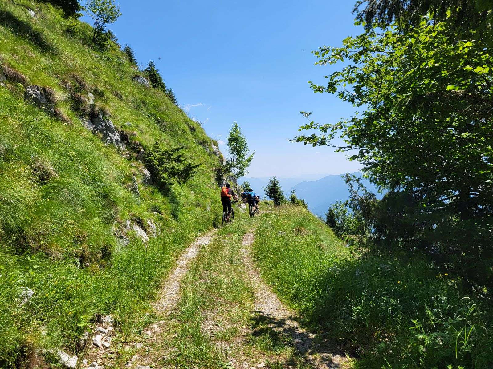 Mountainbiker auf Waldweg bei der beitune Trans-Slowenien