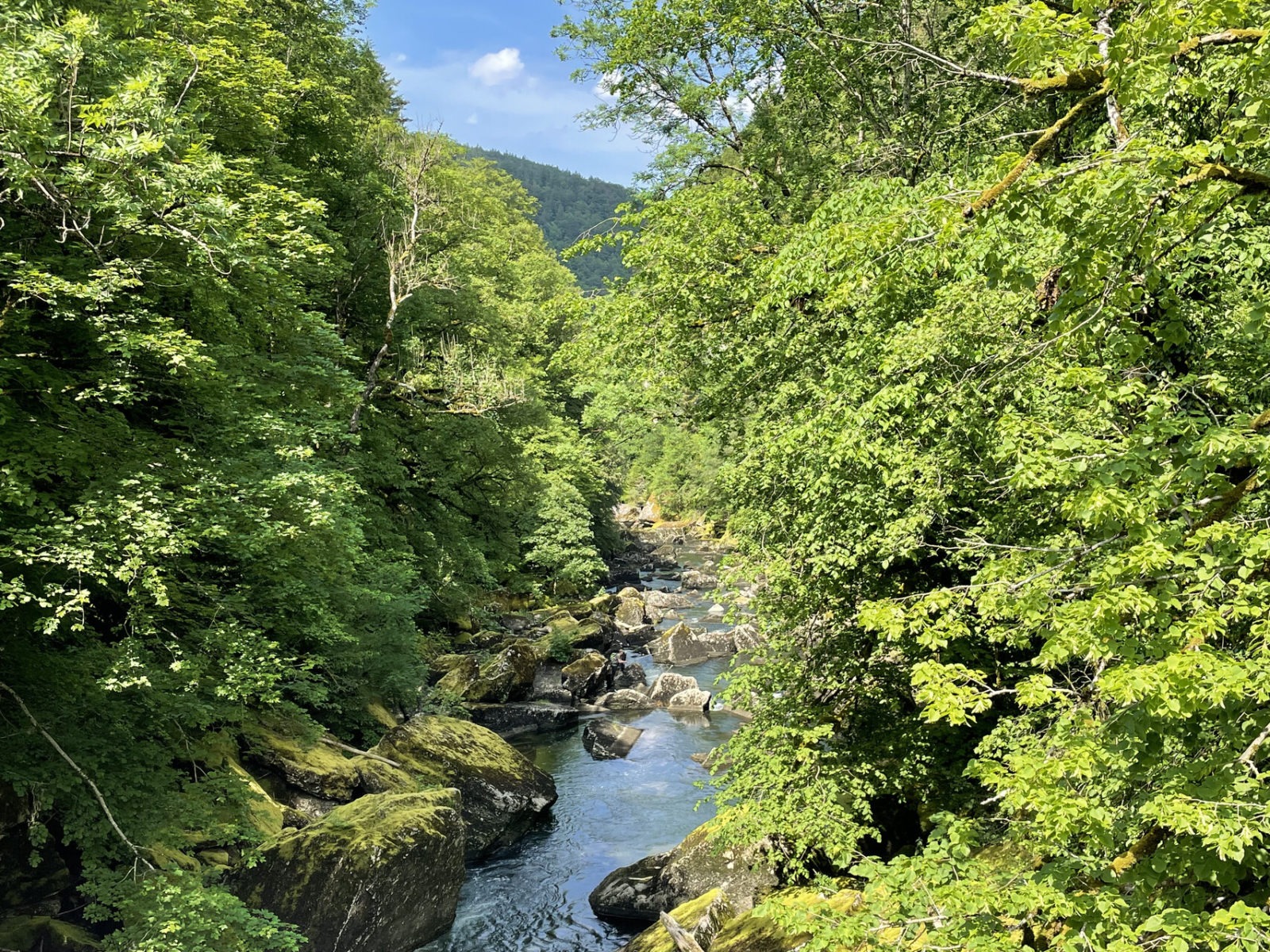 Schlucht im Jura