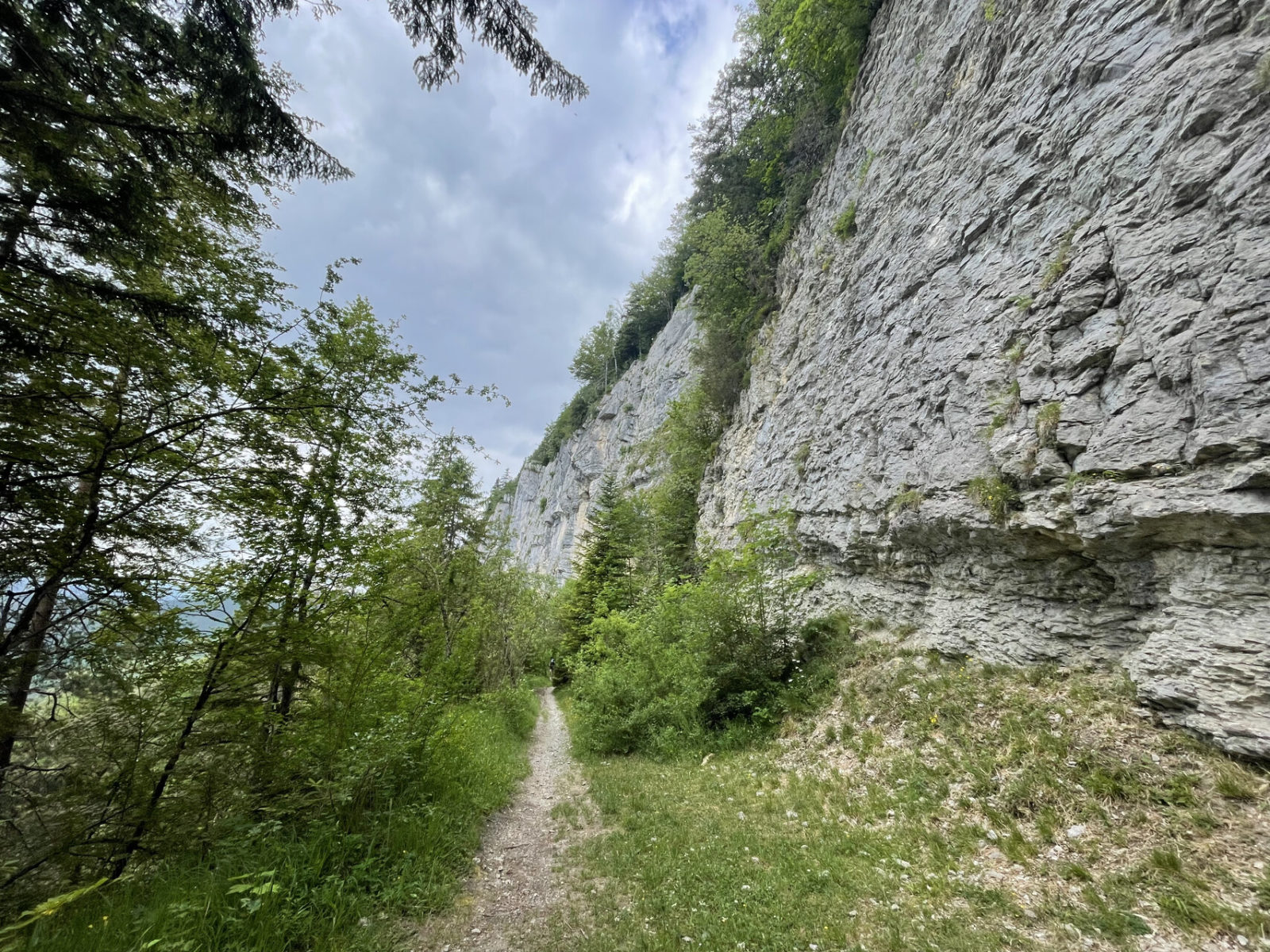 Singletrail entlang von Felsen