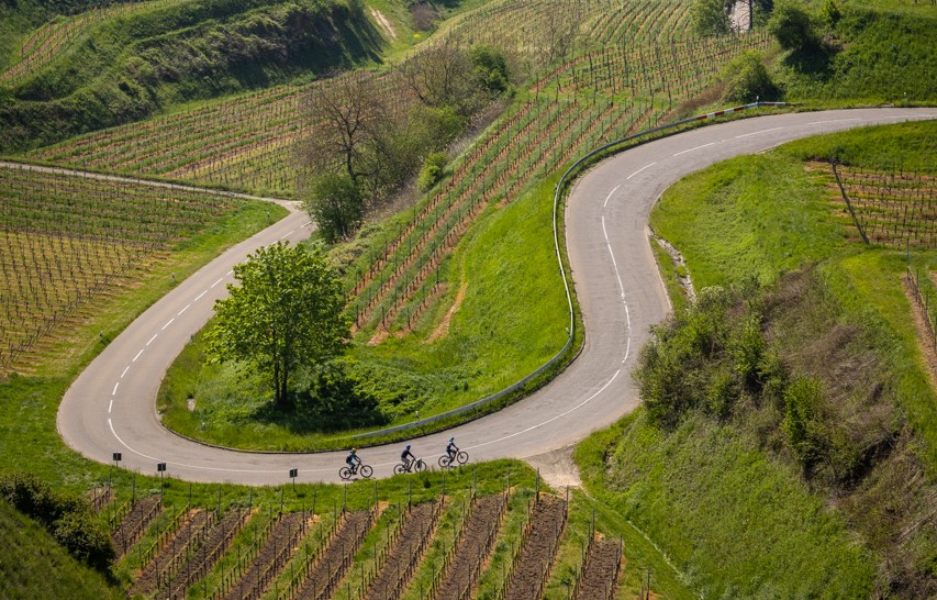 Radfahren im Kaiserstuhl