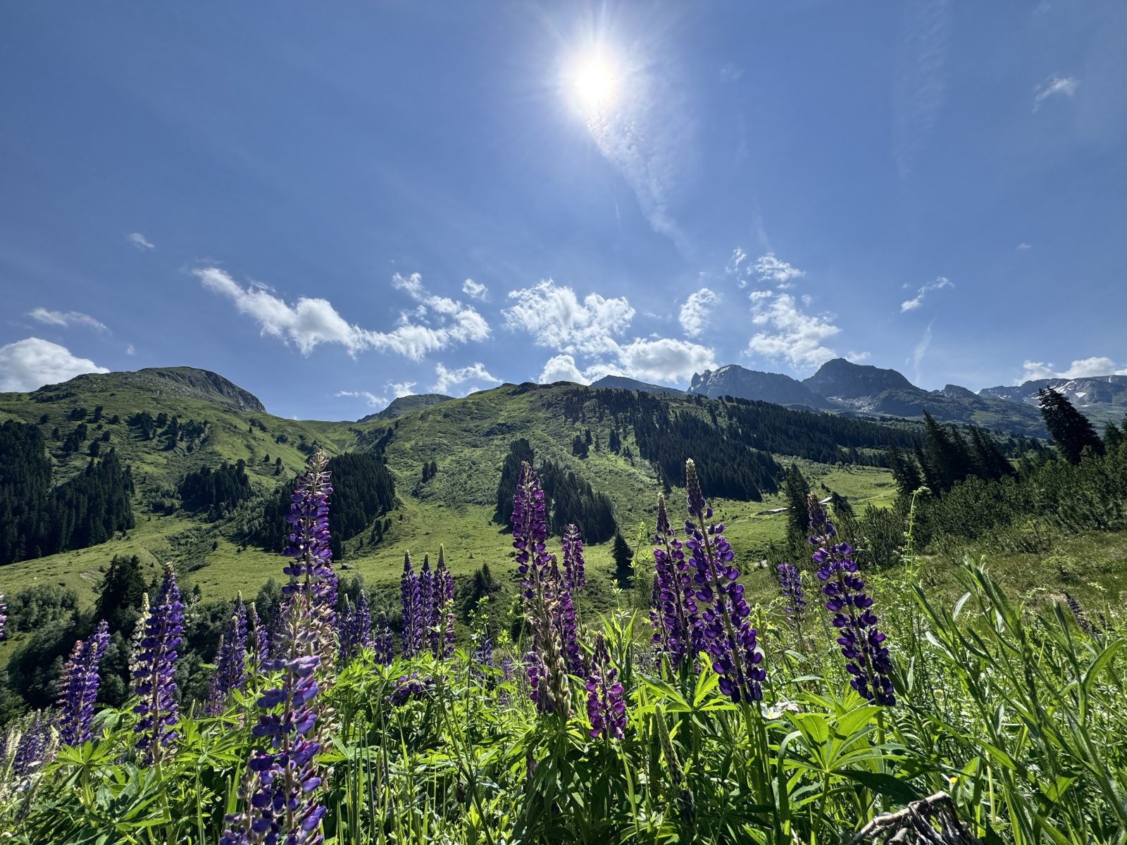 Alpenpanorama bei Sankt Anton auf dem (E-)MTB beitune 3-Länder-Alpencross zum Comer See