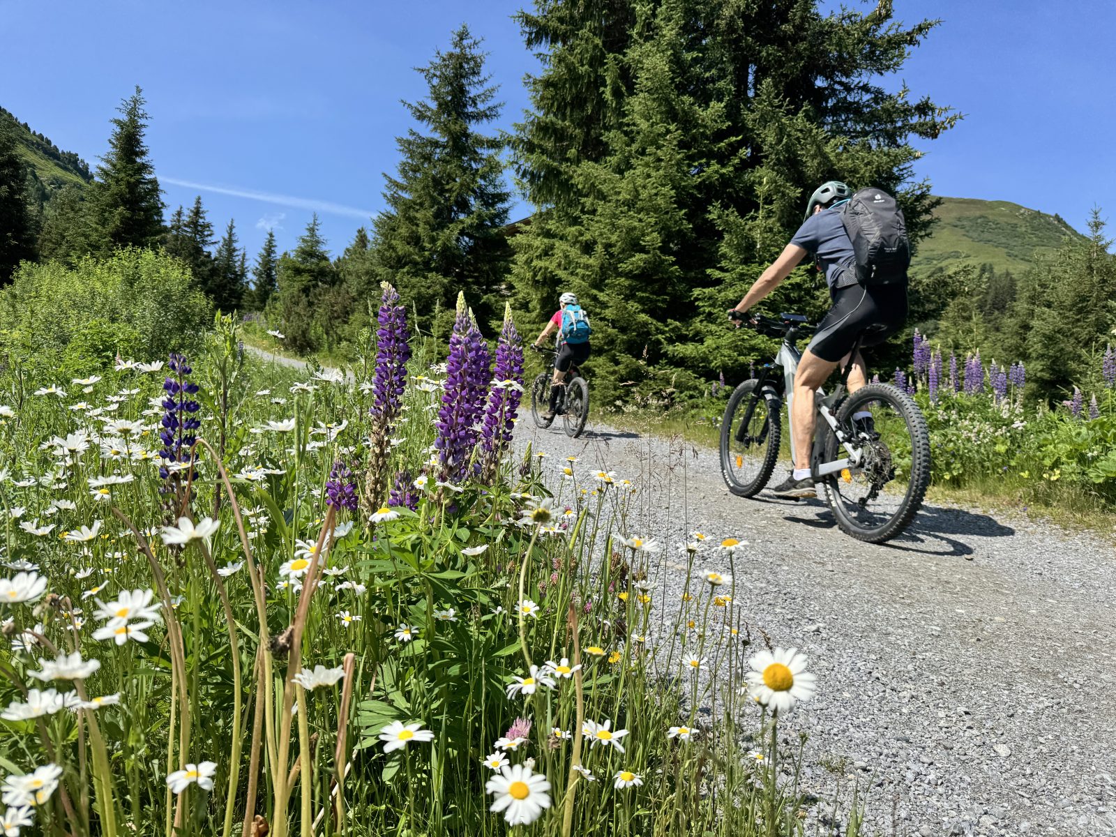 Mountainbiker vor Alpenpanorama bei Sankt Anton auf dem (E-)MTB beitune 3-Länder-Alpencross zum Comer See