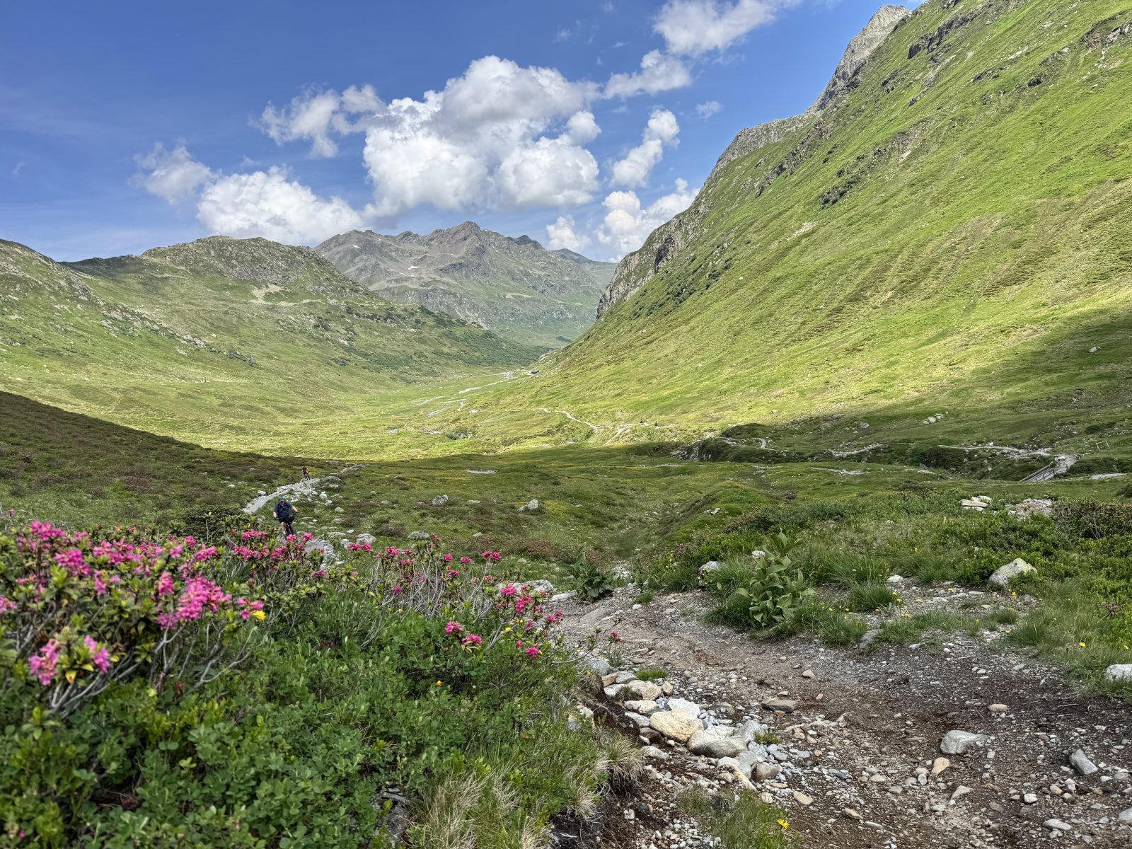 Blick ins Verwalltal während der beitune Alpenüberquerung von Sankt Anton zum Comer See.