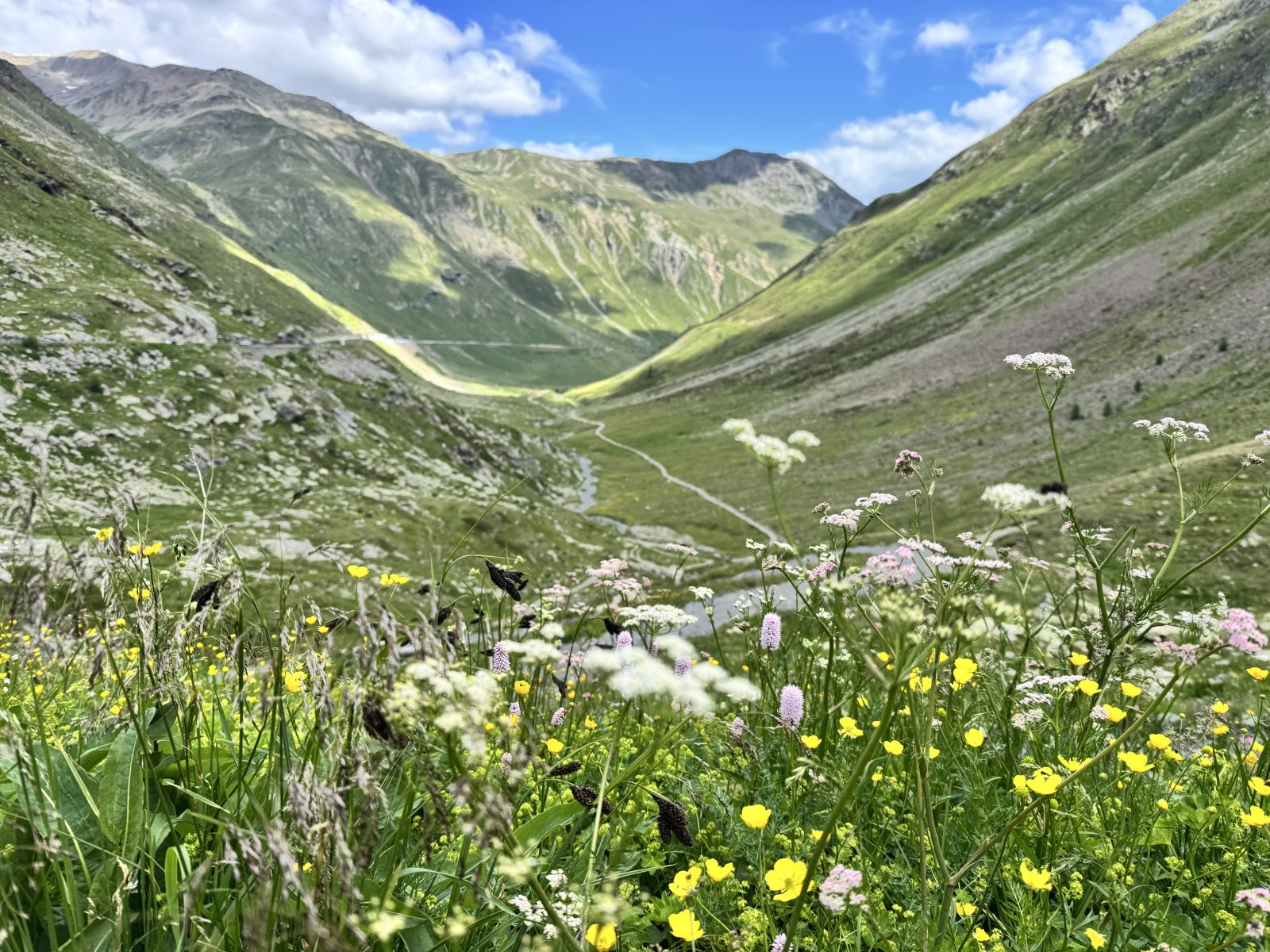 Blick vom Forcolapass Richtung Livigno während der beitune Alpenüberquerung von Sankt Anton zum Comer See.