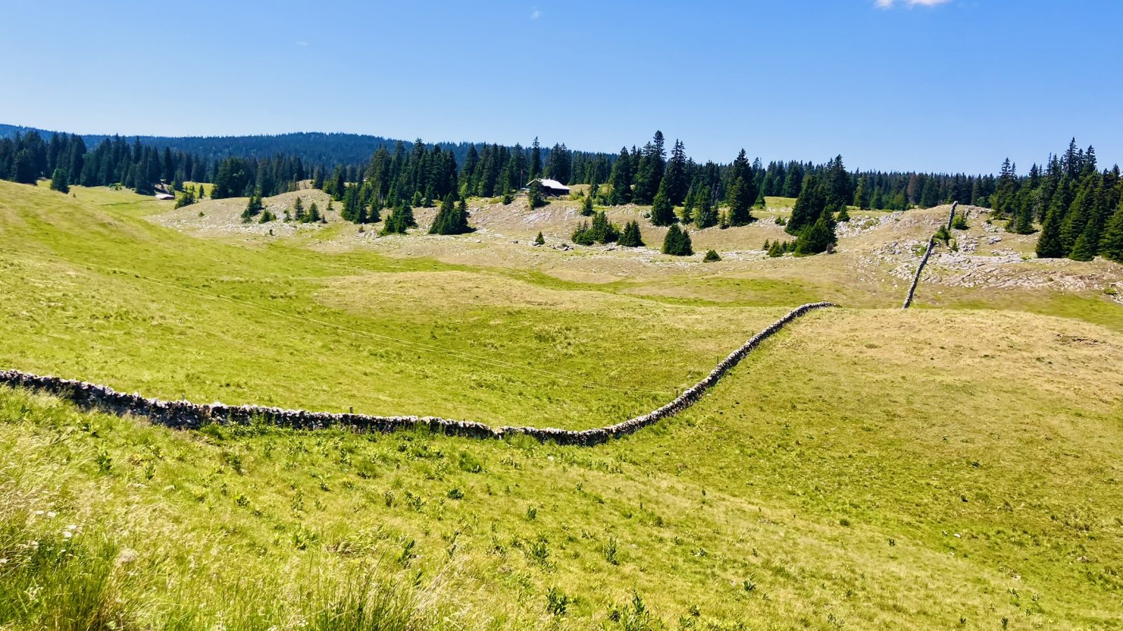 Panorama auf dem Weg durch den Waadtländer Jura zum Genfer See