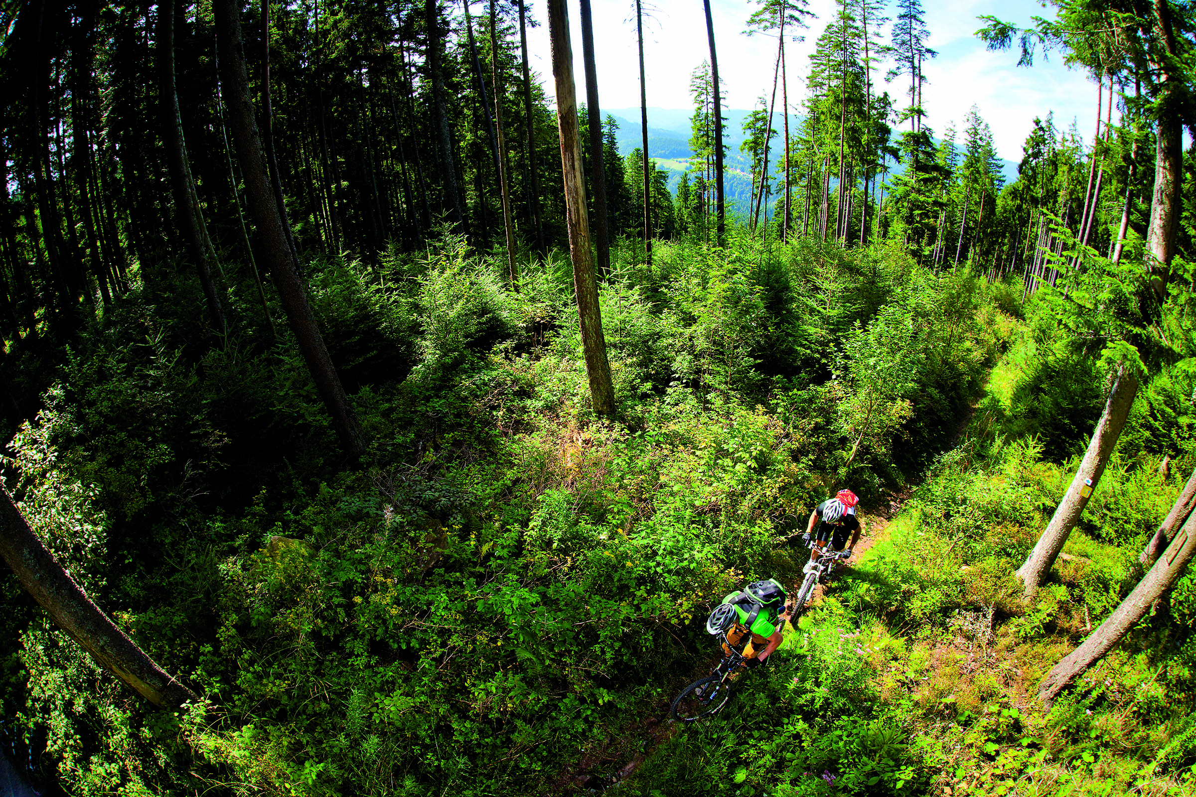 Singletrails schwarzwald