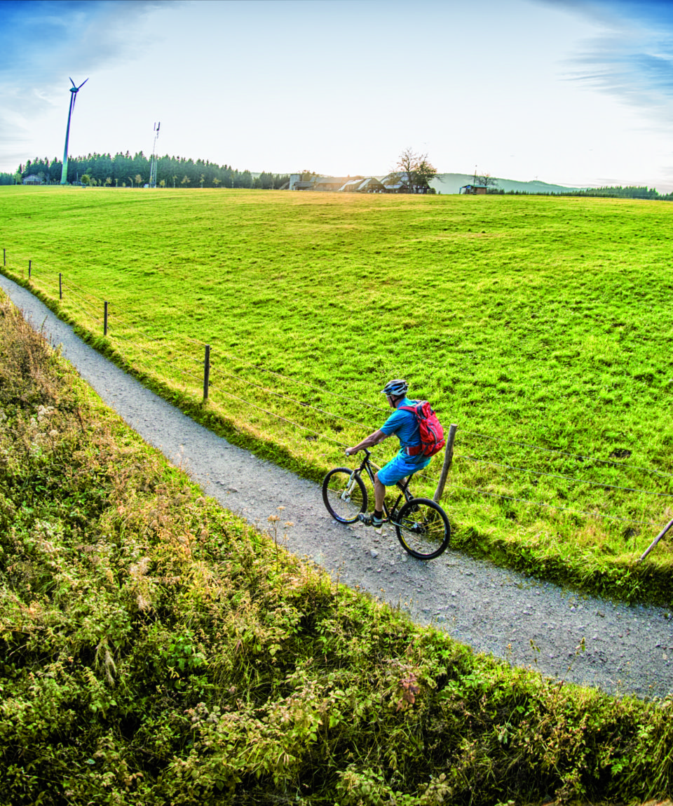 Mtb singletrails schwarzwald