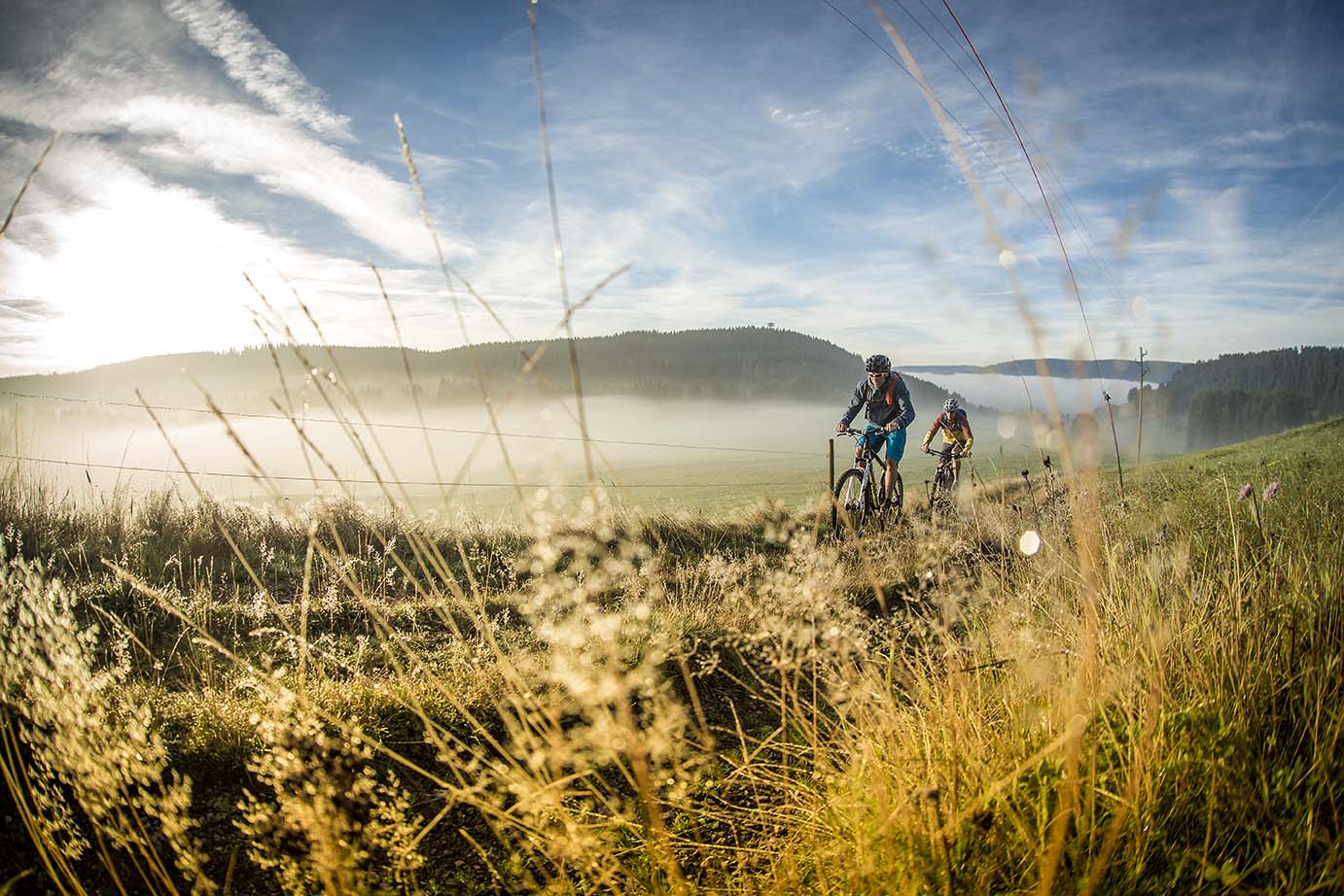 beitune MTB Schwarzwald
