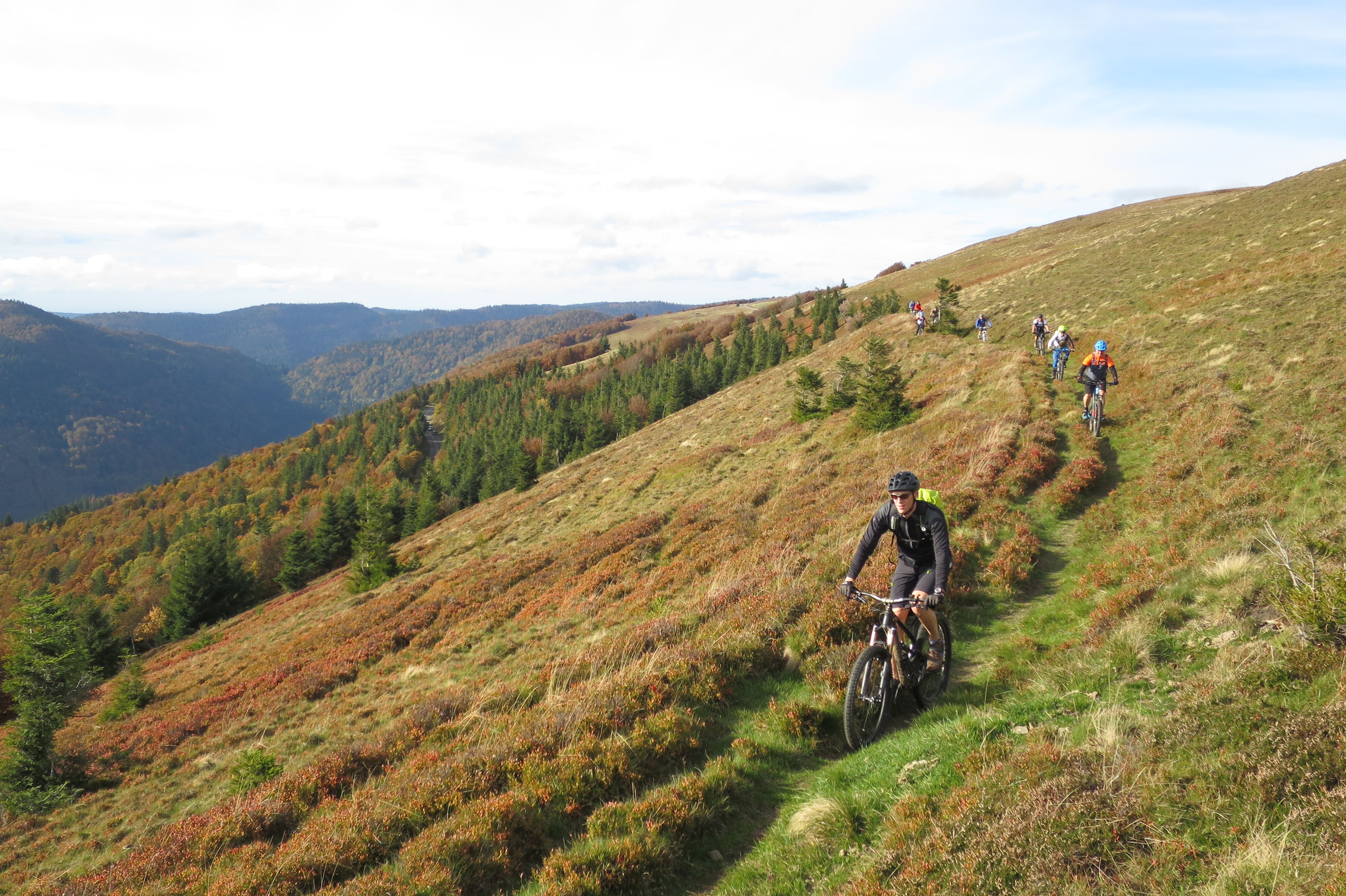 Singletrail touren schwarzwald