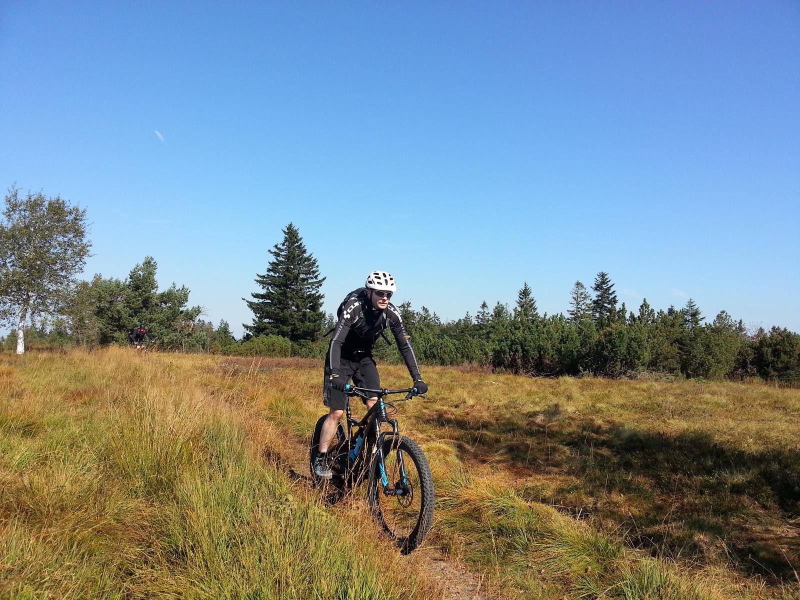 Mtb singletrails schwarzwald