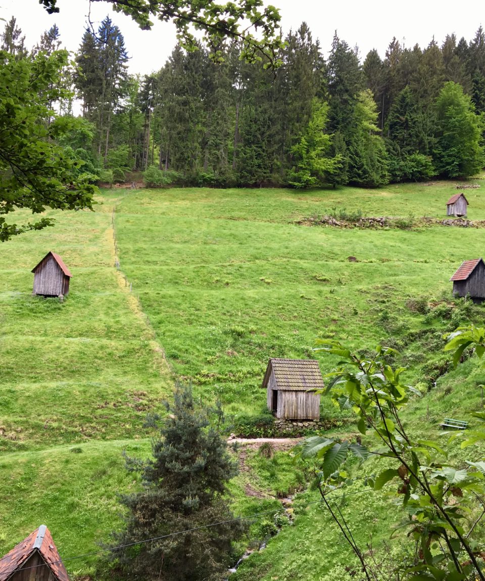 Hnliche Aktivit ten in der Region