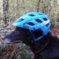 Traildog Marty