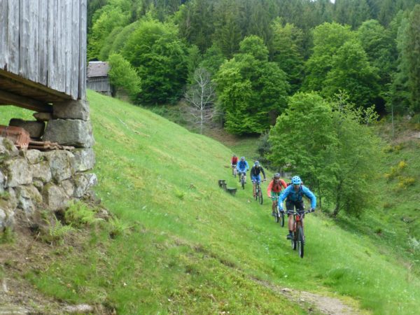 beitune MTB Schwarzwald Singletrail-Wochenende