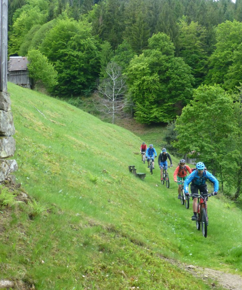Gef hrte Mountainbiketouren