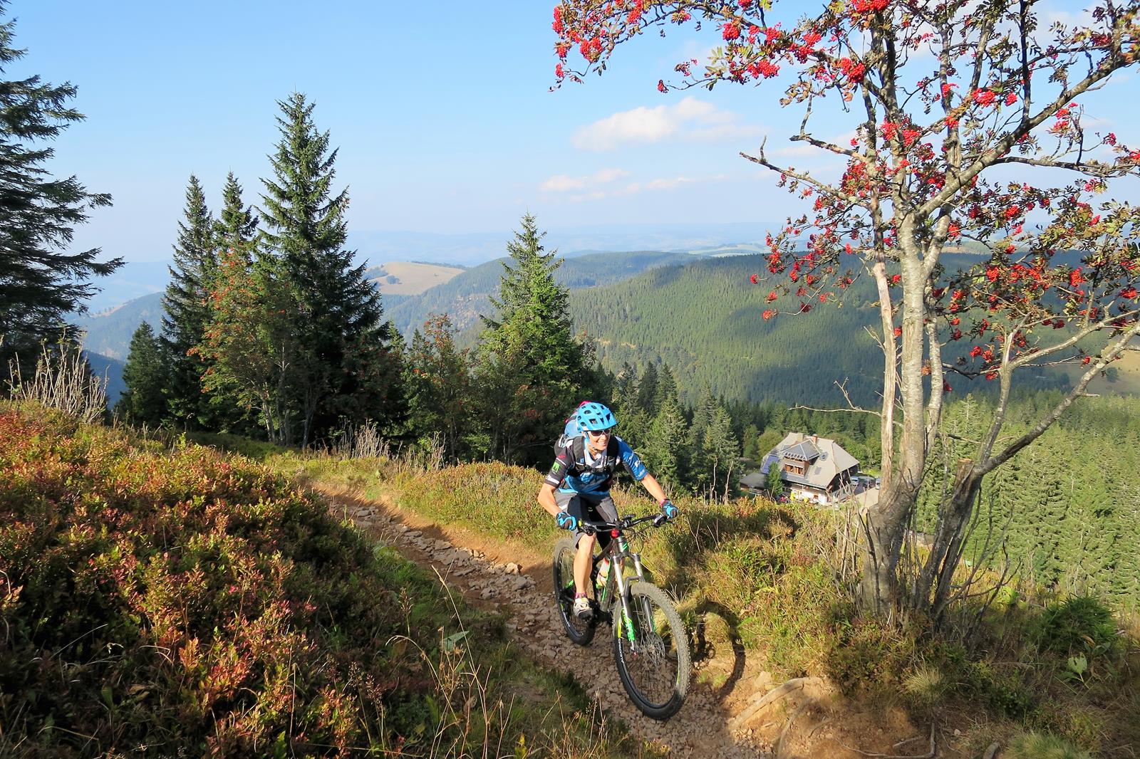 Mtb singletrail schwarzwald