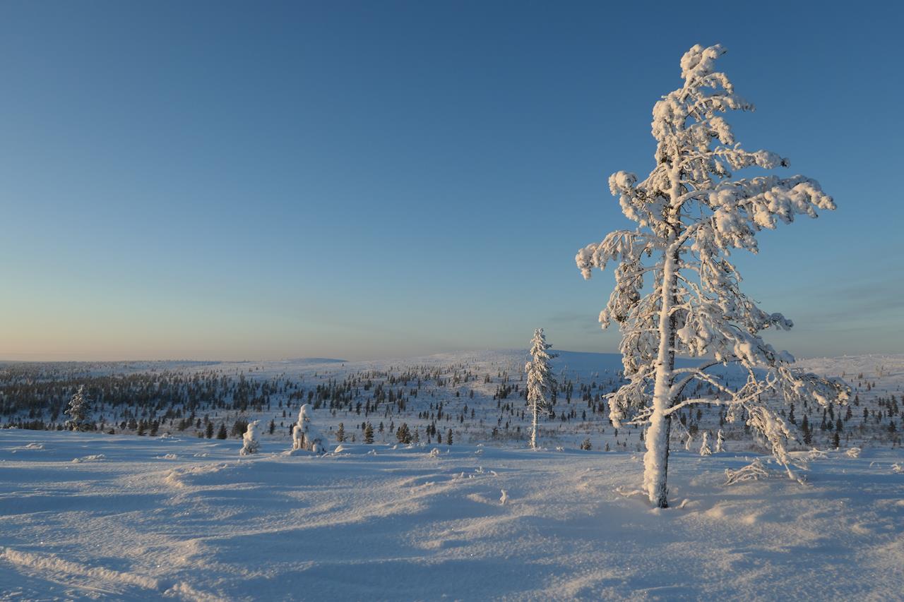 beitune Winterreise Lappland