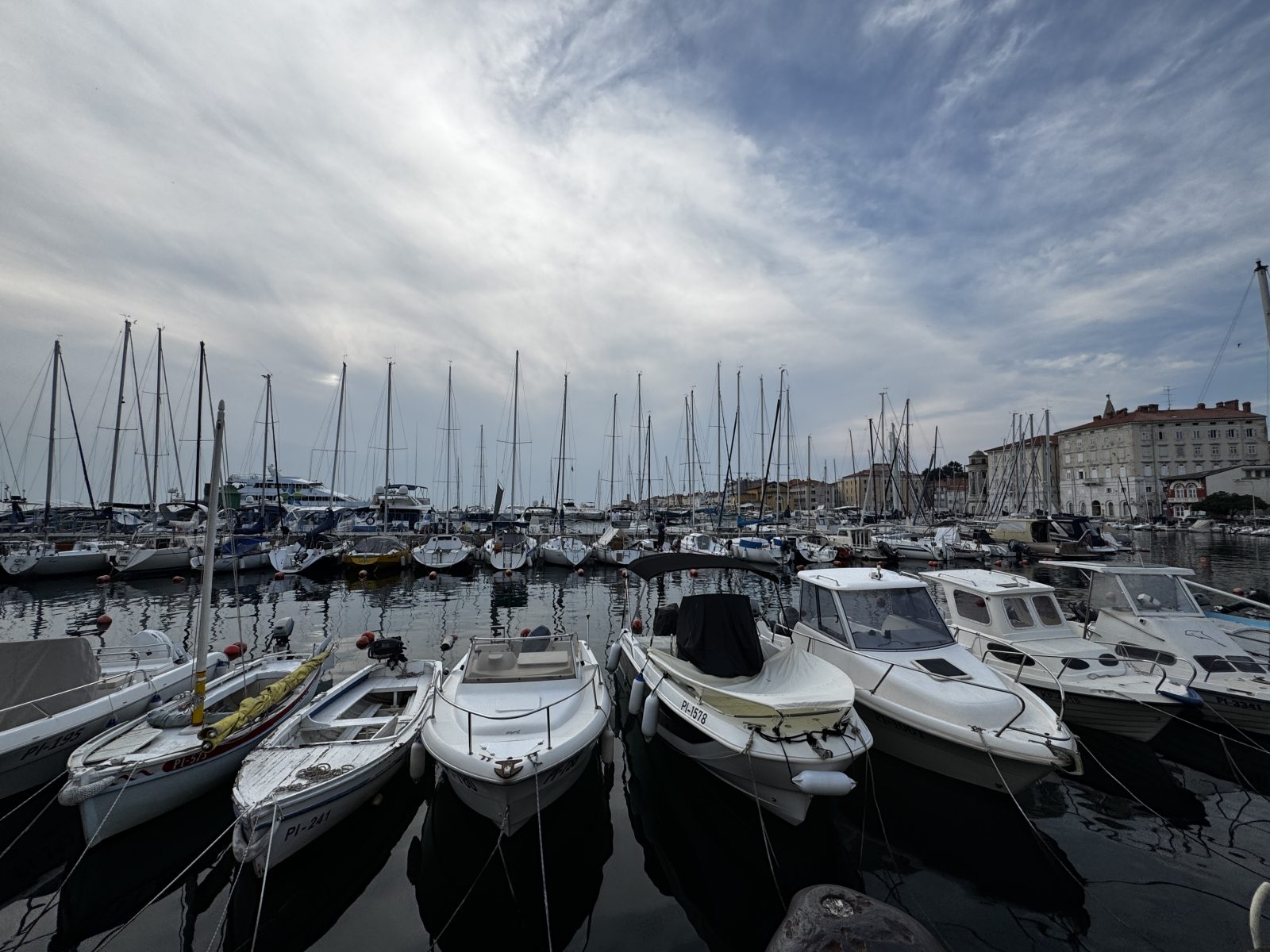 Hafen von Piran